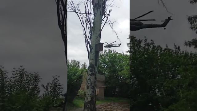 Искусственный водоем в Донецке