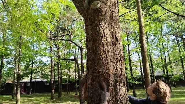Кормим друзей обедом в парке.