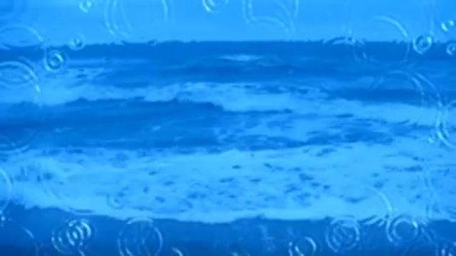 1000074835.mp4