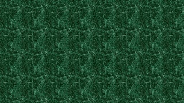 ПРОВЕРЬ СЕБЯ ТРЕНАЖЁР № 3  /БЕЗУДАРНЫЕ ГЛАСНЫЕ В КОРНЕ/