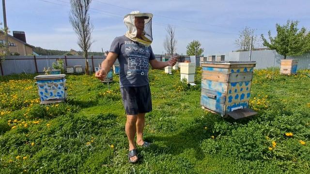 Со среднерусской пчелой надо всегда быть экипированным по полной