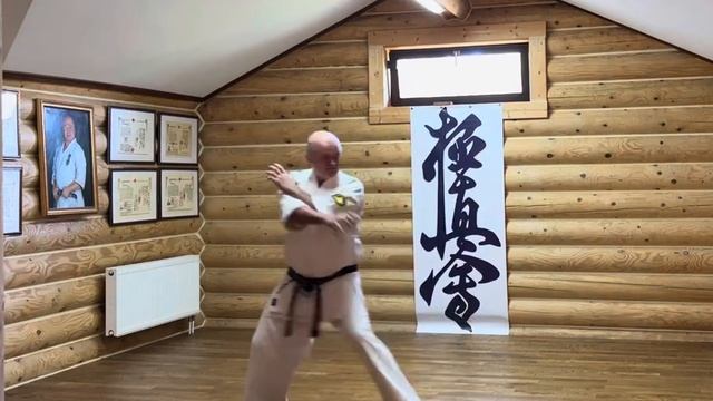 Ката Сайфа / Saifa #karate #hanshi #kyokushin #kyokushinkarate
