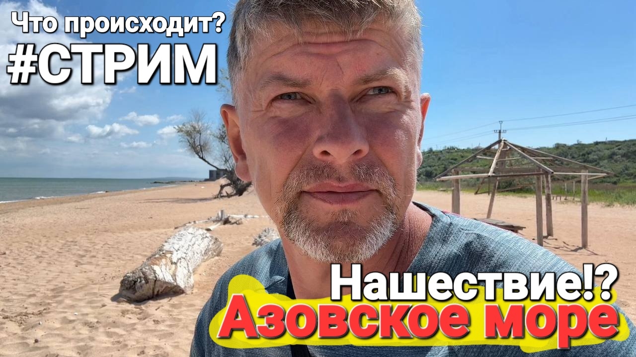 18 мая 2025 - Нашествие водорослей! Центральный пляж в разрухе. Азовское море #онлайн #onlin