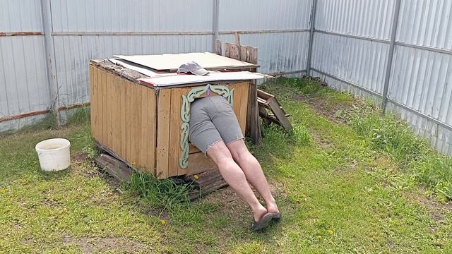 Пёс в собачьей будке