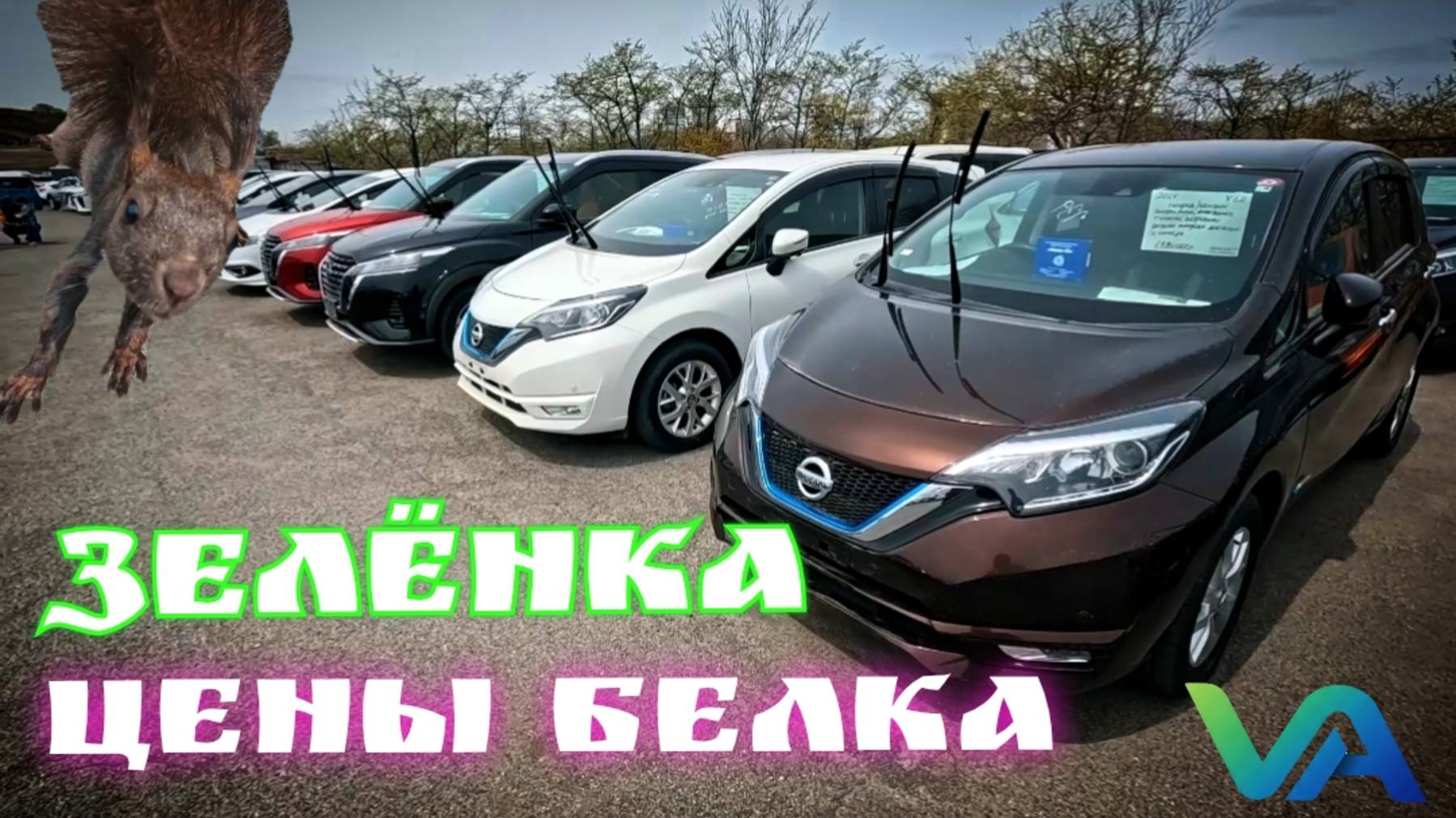 #витаминавто ЗЕЛЁНКА ЦЕНЫ БЕЛОЧКА