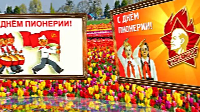 С Днём Пионерии 1! Поздравление от Киностудии Мудрого Кота Тимофея!!!