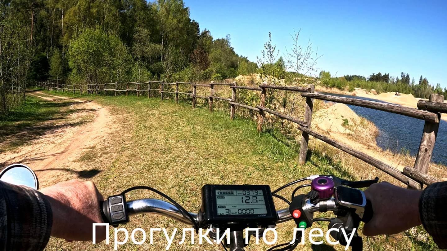 Прогулки по лесу. От карьера через городской парк домой.