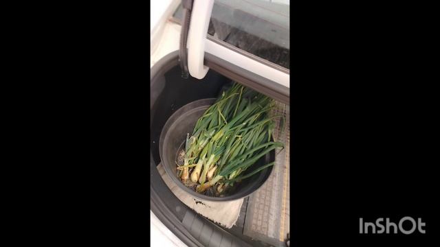 1000002853.mp4