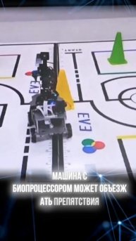 робот с мозгом человека