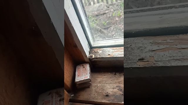 1000054118.mp4