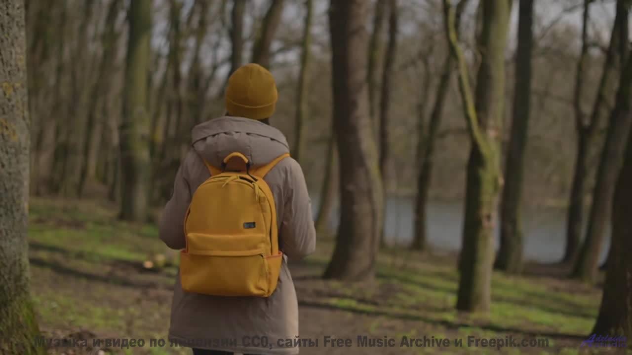 Горизонты открываются шире при каждом аккорде - Come to Caerphilly -- Ayla Nereo -- Play Me a Time