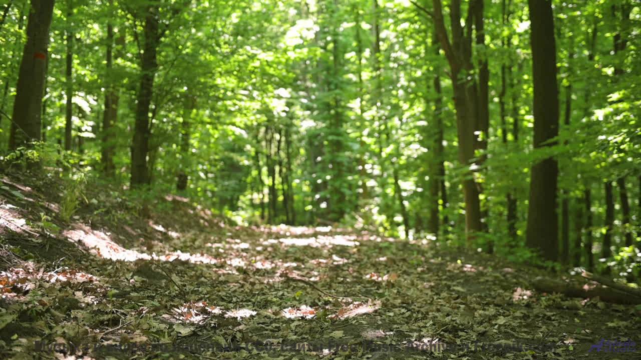 Душа замирает, когда музыка льётся на фоне лесов - Mars Retrieval Unit-Sep 2017-LIVE -- Mars Retriev