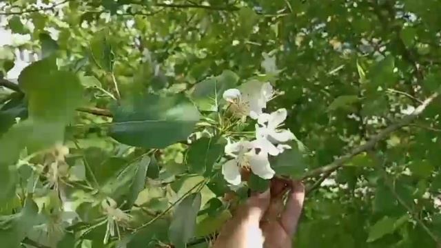 Барнаул /День жара, неделю холод/