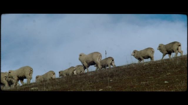 43. Eps 08. Our Honeymoon Memories in New Zealand (Shot with BMPCC)