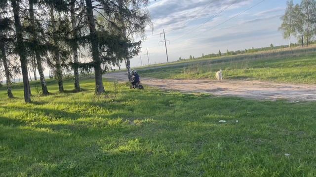Покатушки на детских питбайках по полю