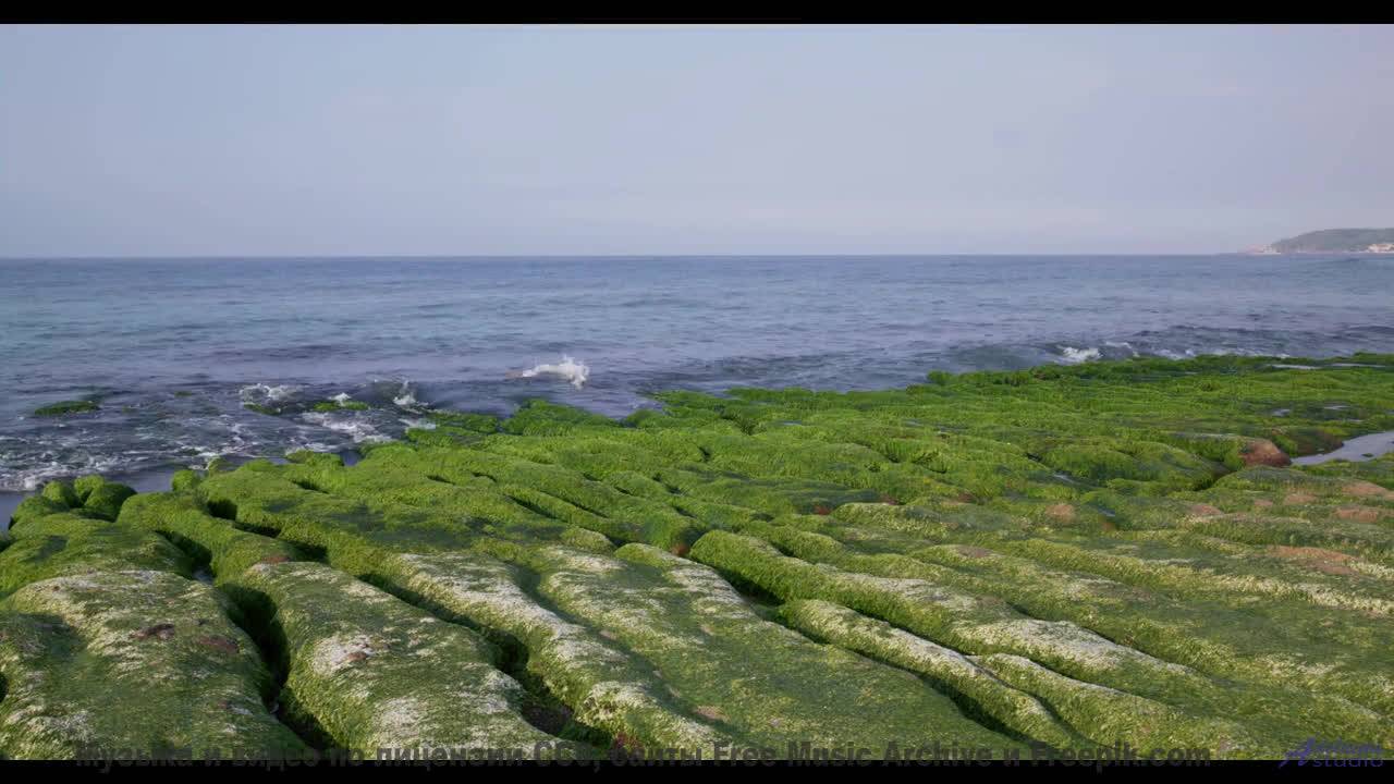 Это не просто клип - это эмоции, которые делают жизнь ярче! - Triumph -- Ketsa -- The New World