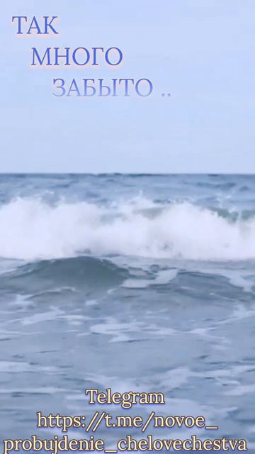 1000066164.mp4