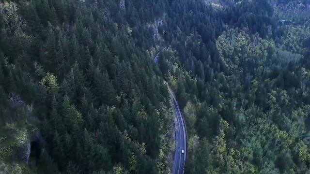 [4K UHD] Colors Of Nature   Royalty Free   Stock Footage    Free HD Videos - No Copyright