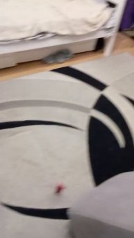 От квартиры 8 дверная ручка катается