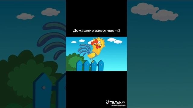 учим домашних животных с ребенком