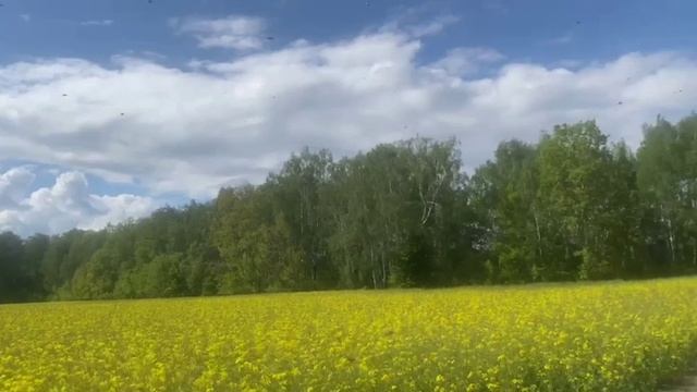 на встречу майскому теплу 18 05 2025