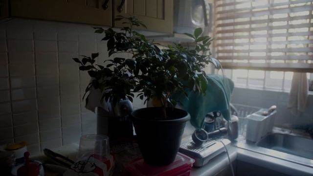 35. How I Created This Scene (Part 1) _ Cinematography Breakdown