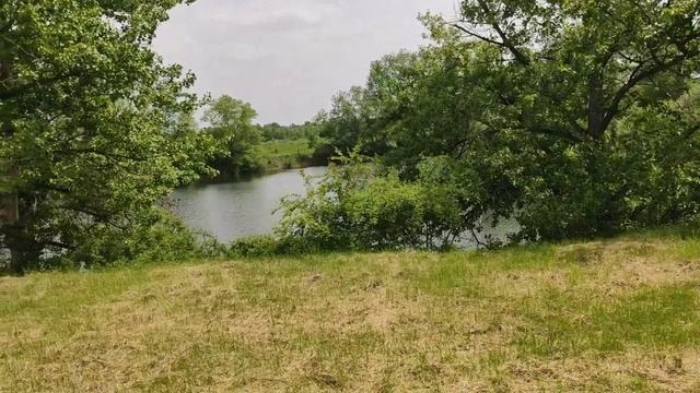 Частный пруд переполнен