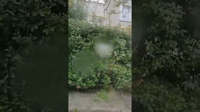 Каменные веретёна: памятники природы в забвении