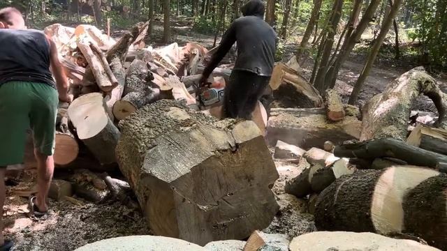 Найкраща Бензопила 👍Chainsaw STIHL MS 462 C-M 🪚 Best Cutting Wood 🪵