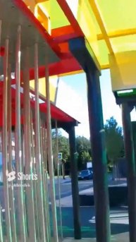 На площадке (1-я Ватутинская).mp4