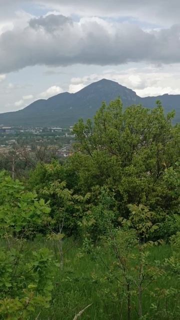 Участок 10,6 соток.