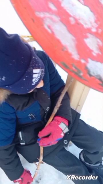 Эдит Богдана