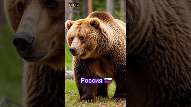 Миша 💪 🇷🇺