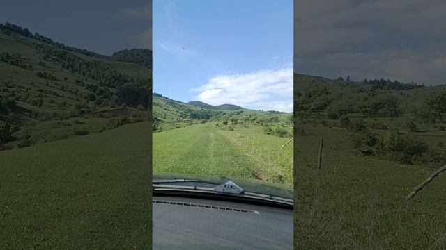 1000000366.mp4