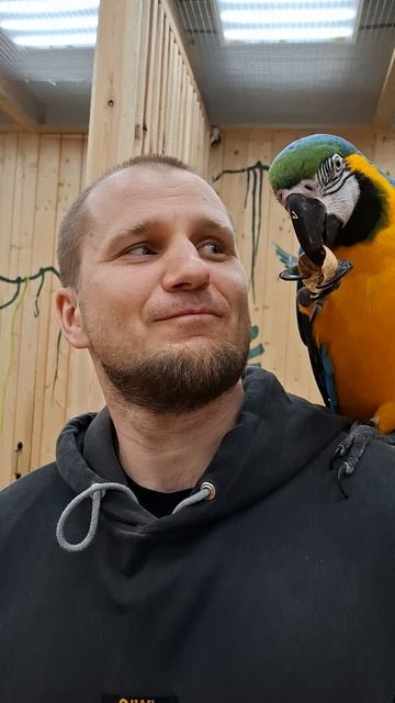 Хочет откусить ухо у папы😂