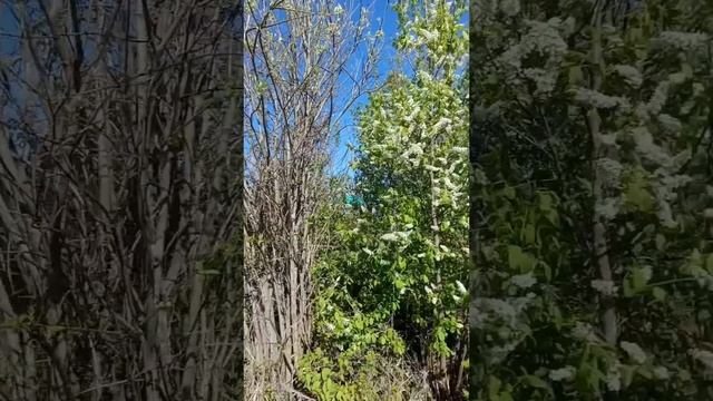 Видеообзор нового двухэтажного дома в Оверятах