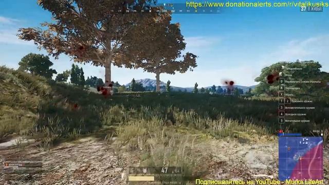 Аутизм не приговор / Раки - практиканты / PUBG.