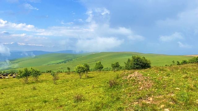 Красоты Кавказа: барашки в горах Кабардино-Балкарии по дороге в урочище Джилы-Су