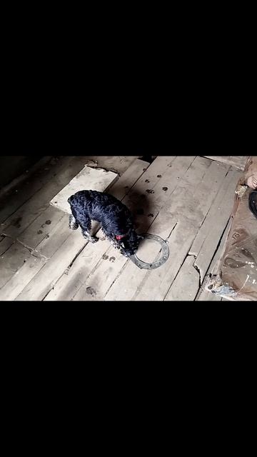 1000031422.mp4