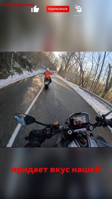 А ты не боишься #юмор #дорохов #приколы #камеди #comedy #харламов #шоу #квн