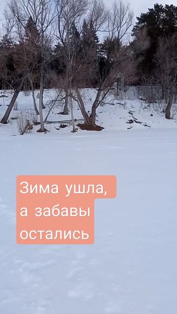 Почему в выходной тянет на природу? #сибирь #весна #мар?