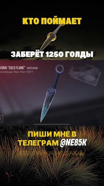 6216473096065332658