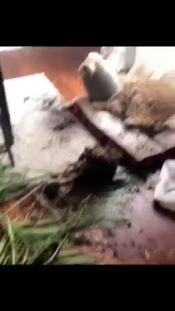 Понять и простить