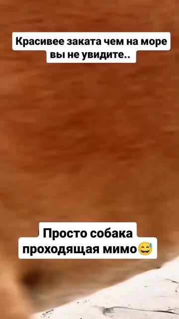 Этот красивый закат...