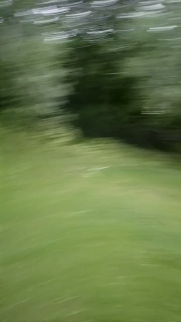 1000035104.mp4