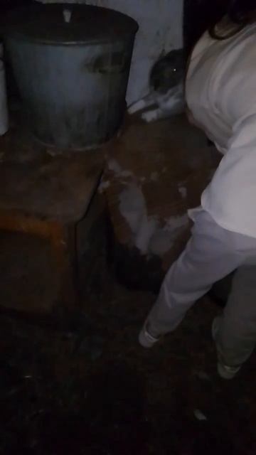 Разведение кроликов