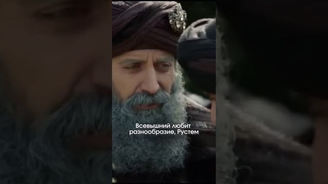 Зачем в мире такое разнообразие?