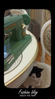 Швейная машинка Тула