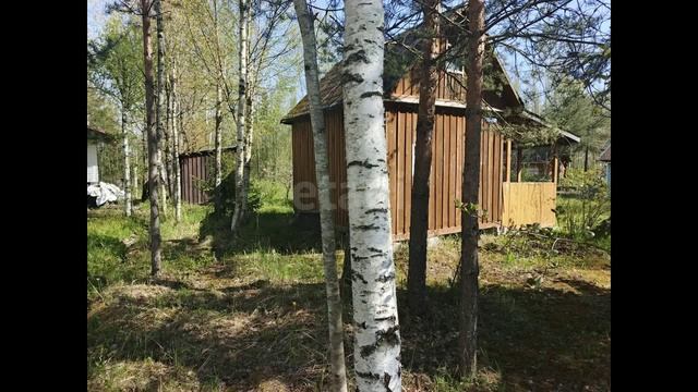 некоммерческое товарищество Глобус, Центральная улица