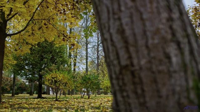 Песня, которая звучит как обещание вечной любви... - Back In The Old Days -- Ketsa -- 5D